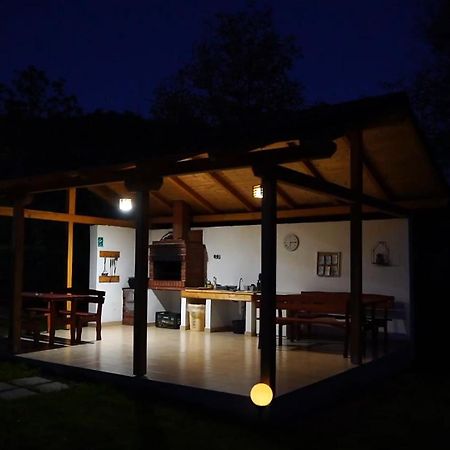 ויסו דה סוס Guest House Carpathia מראה חיצוני תמונה