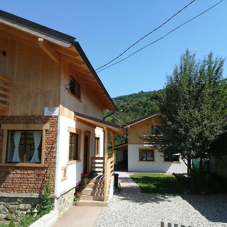 ויסו דה סוס Guest House Carpathia מראה חיצוני תמונה