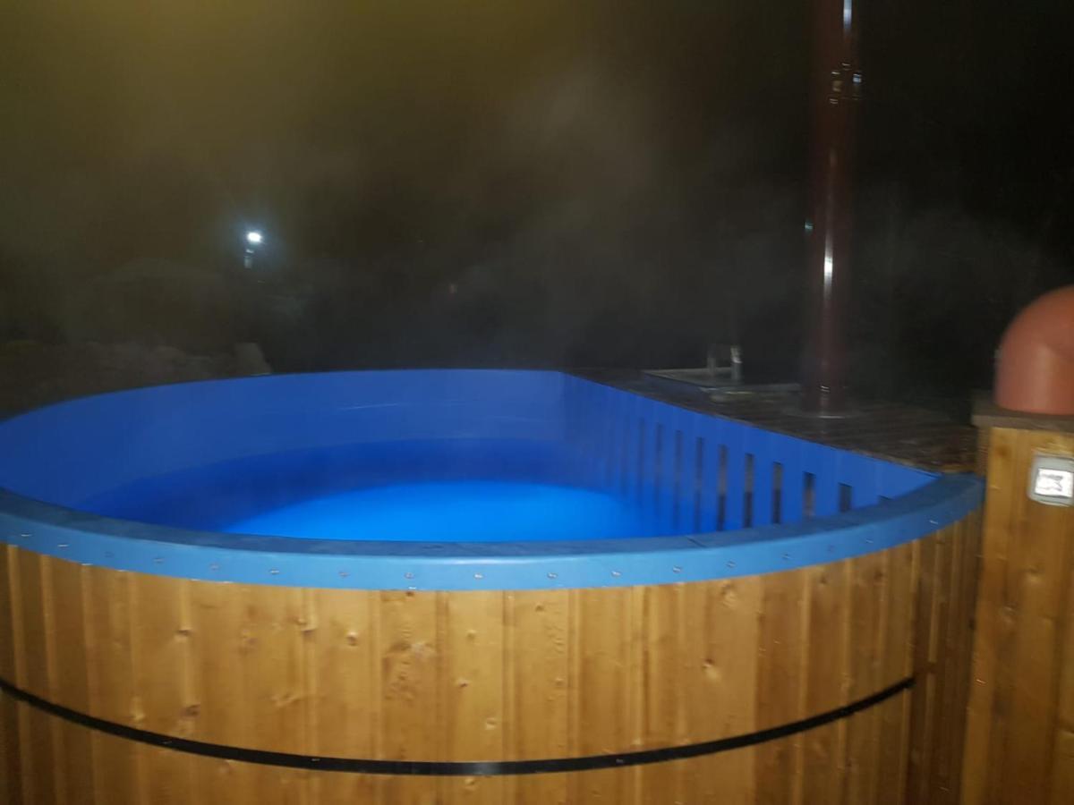 ויסו דה סוס Guest House Carpathia מראה חיצוני תמונה