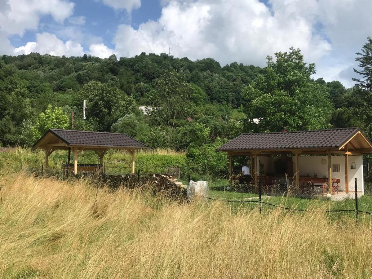 ויסו דה סוס Guest House Carpathia מראה חיצוני תמונה