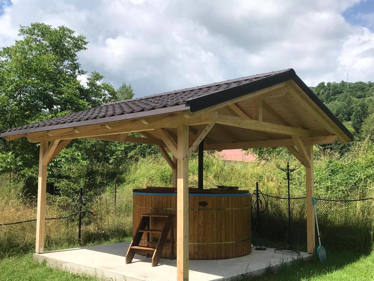 ויסו דה סוס Guest House Carpathia מראה חיצוני תמונה