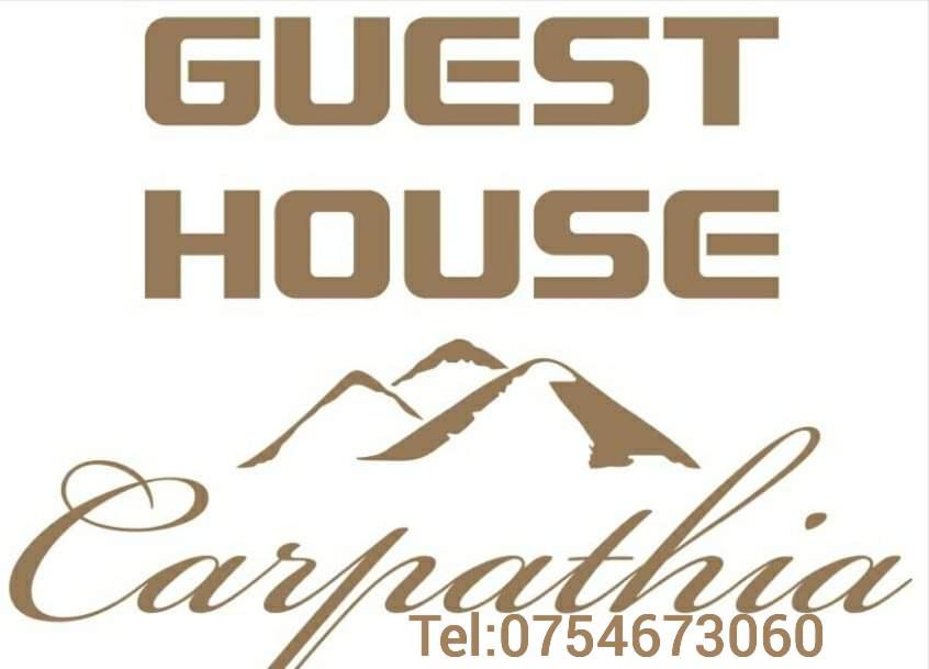 ויסו דה סוס Guest House Carpathia מראה חיצוני תמונה