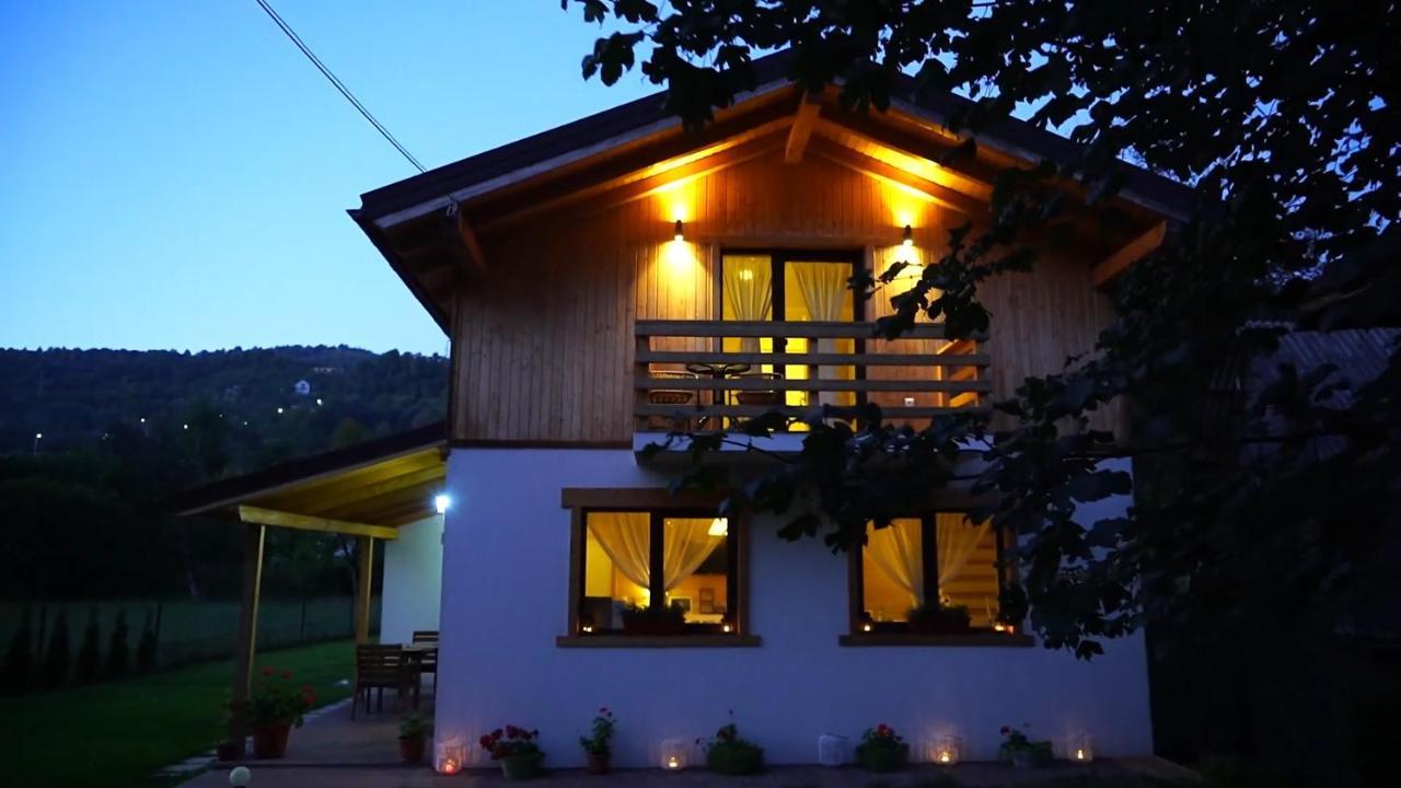 ויסו דה סוס Guest House Carpathia מראה חיצוני תמונה