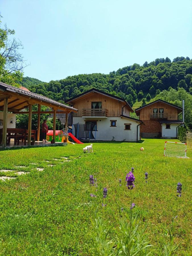 ויסו דה סוס Guest House Carpathia מראה חיצוני תמונה