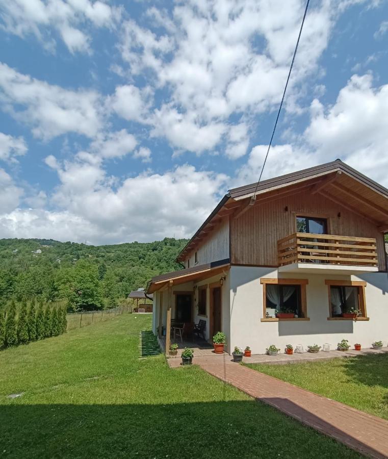 ויסו דה סוס Guest House Carpathia מראה חיצוני תמונה