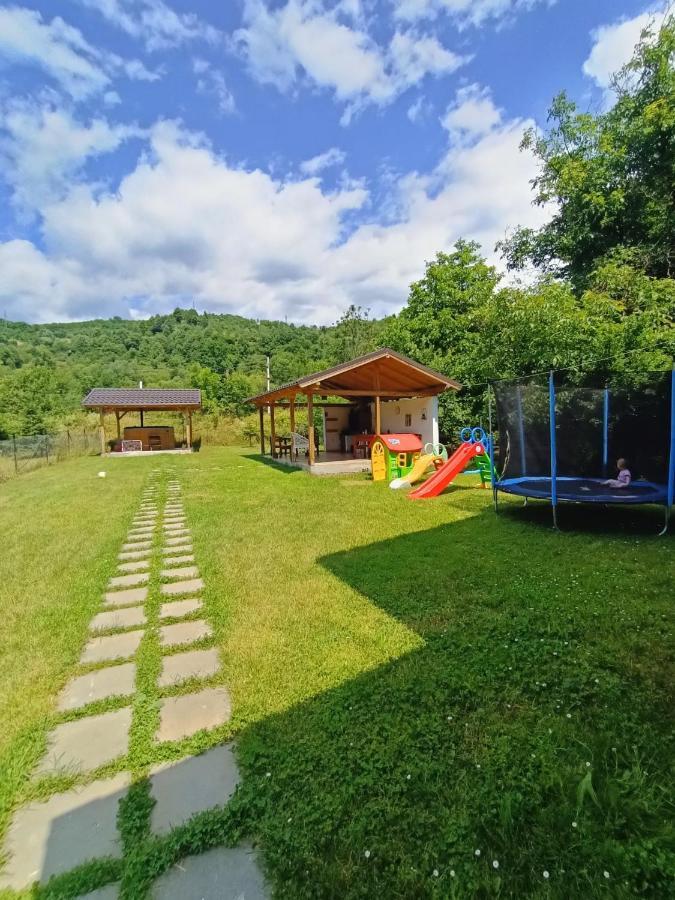 ויסו דה סוס Guest House Carpathia מראה חיצוני תמונה