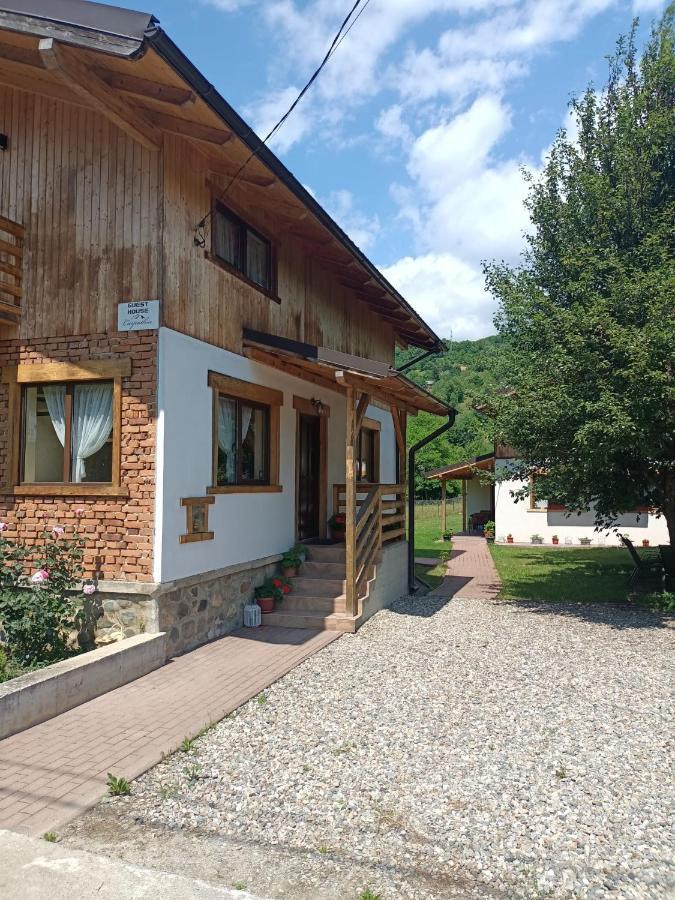 ויסו דה סוס Guest House Carpathia מראה חיצוני תמונה