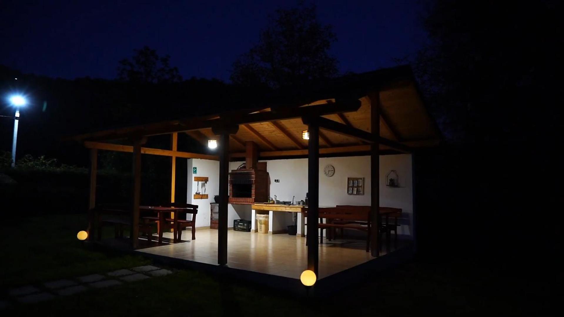 ויסו דה סוס Guest House Carpathia מראה חיצוני תמונה