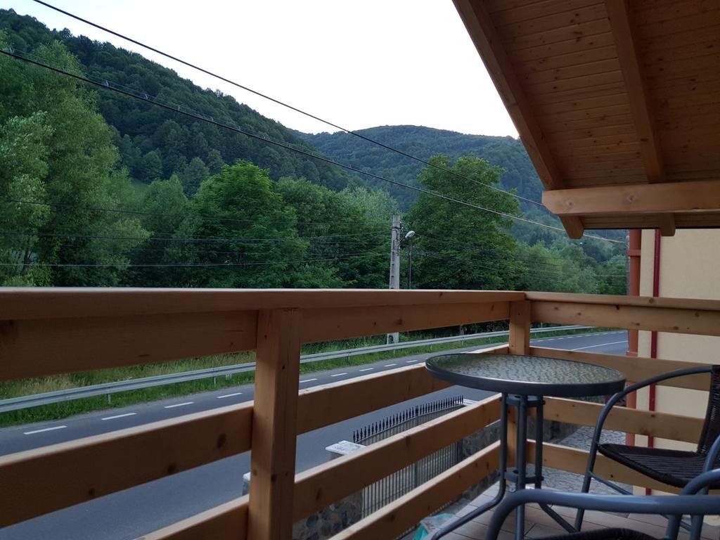 ויסו דה סוס Guest House Carpathia מראה חיצוני תמונה