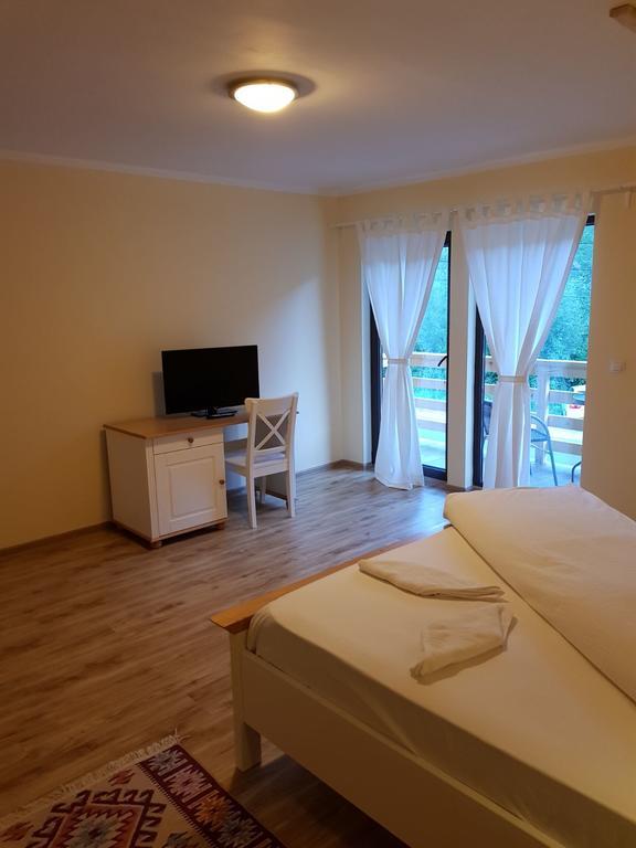 ויסו דה סוס Guest House Carpathia מראה חיצוני תמונה