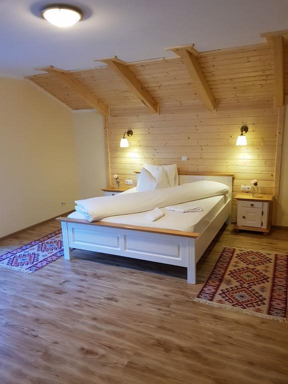 ויסו דה סוס Guest House Carpathia מראה חיצוני תמונה