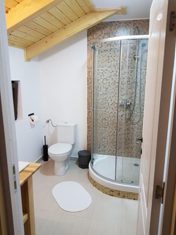 ויסו דה סוס Guest House Carpathia מראה חיצוני תמונה