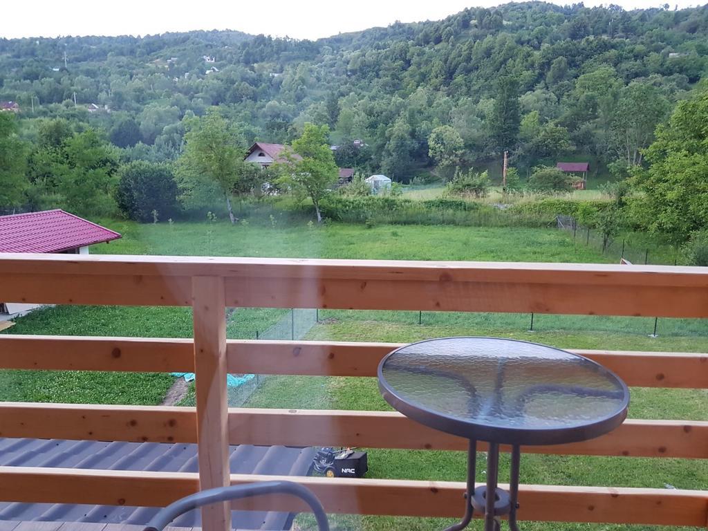 ויסו דה סוס Guest House Carpathia מראה חיצוני תמונה