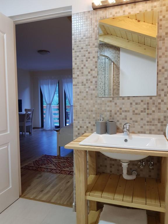 ויסו דה סוס Guest House Carpathia מראה חיצוני תמונה