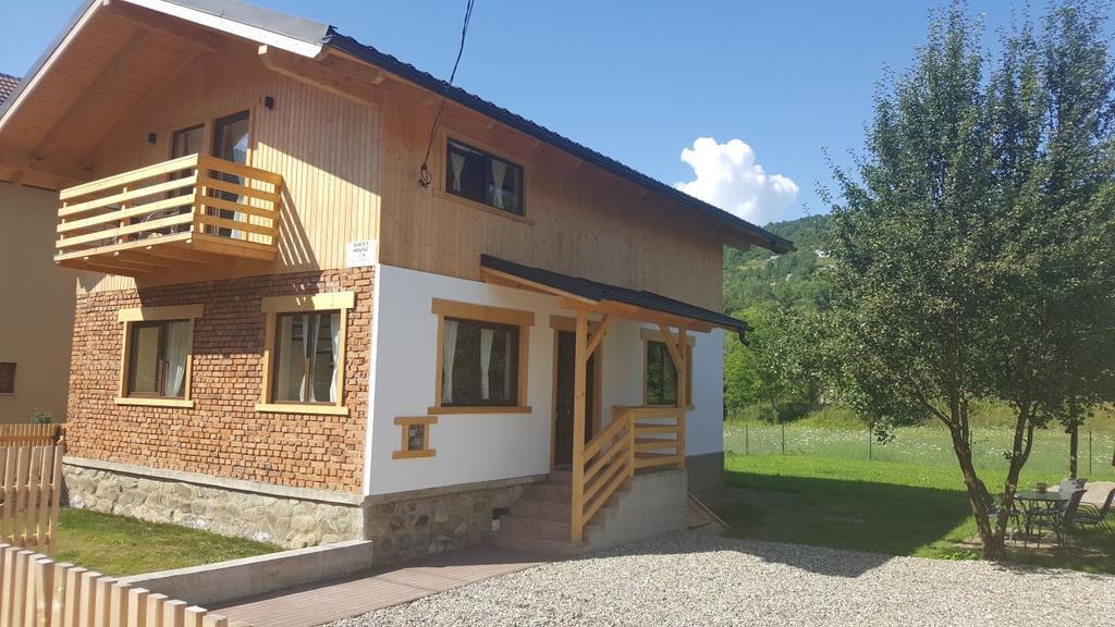 ויסו דה סוס Guest House Carpathia מראה חיצוני תמונה
