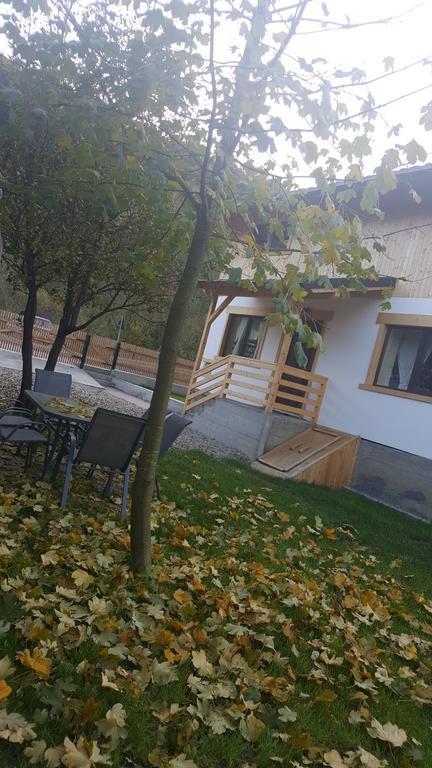 ויסו דה סוס Guest House Carpathia מראה חיצוני תמונה