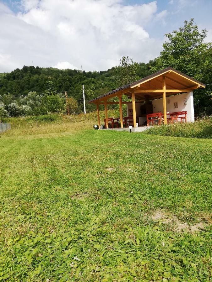 ויסו דה סוס Guest House Carpathia מראה חיצוני תמונה